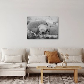 Kép - Jegesmedvék, fekete-fehér (70x50 cm)