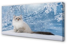 Canvas képek macska télen 100x50 cm