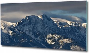 Fotó üvegkép Vízesés az erdőben 125x50