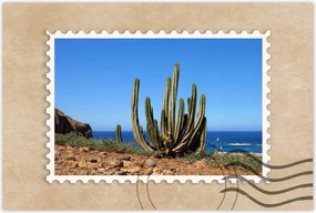 Poszterek 120x80 Kaktusz a természetben Kilátás