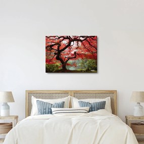 Red Japanese Maple, Portland, Oregon képe (70x50 cm)