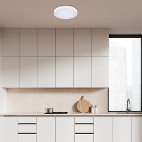Rabalux 71427 - LED Fürdőszobai mennyezeti lámpa ALENZO LED/24W/230V IP44 fehér