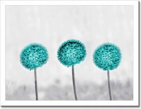 Poszterek keretben 40x30 Türkiz pitypang virág