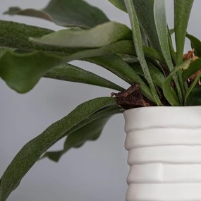 Fehér kézzel készített porcelán váza Ribbon – Mette Ditmer Denmark