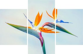 Virág képe (90x60 cm)