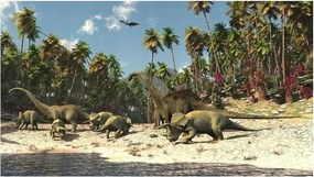 Fotótapéta Dinoszauruszok A Gyerekszobába Gyerek Fali Tapéta 368x254