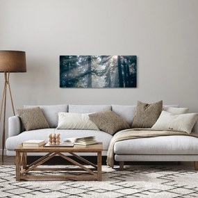 Fák képe a ragyogó nappal (120x50 cm)