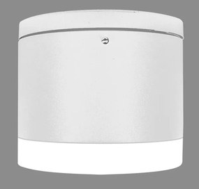 PALNAS-66001500 BRUNO Fehér színű Kültéri Mennyezeti Lámpa xLED 10W IP54