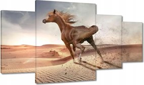 Képek 160x90 Galoppozó ló