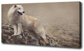 Vászonkép Fehér farkas a rock oc-60381309