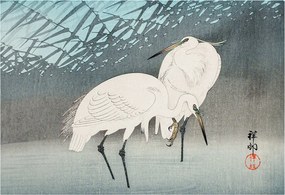 Fotótapéta Flizelin Dekoratív az irodába Finom madarak 152x104 Ragasztó