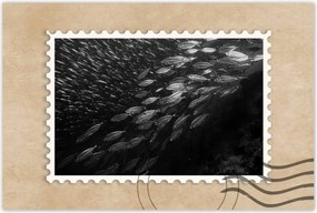 Poszterek 90x60 Nagy halak a tengerben