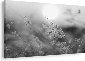 Kép - Őszi rét (90x60 cm)