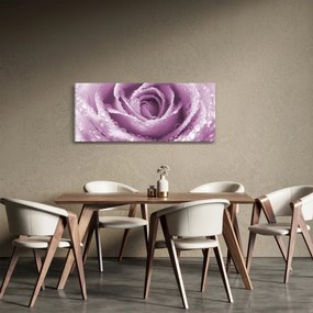 Egy rózsa virág részlete (120x50 cm)