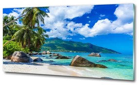 Üvegfotó Seychelles strand osh-98176668