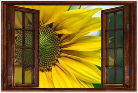 Poszter 60x40 Napraforgó Virág