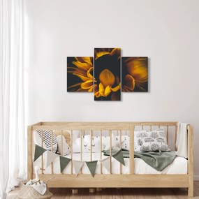 Kép - Napraforgó fekete háttérben (90x60 cm)