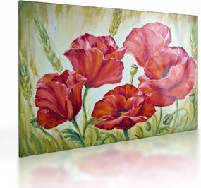 Kép - Pipacsvirágok (üvegen) (70x50 cm)