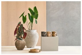 Fjord 2 db-os bézs porcelán bögre szett, 250 ml - Villa Collection