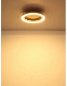 Globo 67356D - LED mennyezeti lámpa DAKARI I LED/12W/230V 3000K átm. 20,5 cm