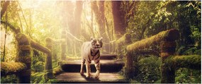 Tigris képe (120x50 cm)