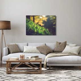 A moha képe gombával (90x60 cm)