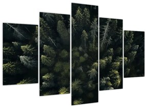 Kép - Forest (150x105 cm)