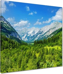 Vászonkép 50x50 Hegyi táj gyönyörű felhőkkel Fák a hegyekben