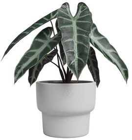 Kerámia kézzel készített virágcserép ø 17 cm Echo – Artevasi