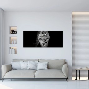 Kép - Sárga szemű tigris (120x50 cm)