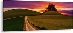 Mezei naplemente képe (120x50 cm)