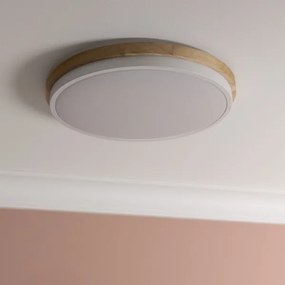 Brilliant - LED Dimmelhető mennyezeti lámpa BAARLO LED/24W/230V átm. 35 cm fehér
