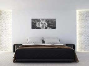 Kép - Cottongrass (120x50 cm)