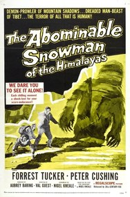 Illusztráció Abominable Snowman Of Himalayas