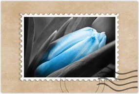Poszterek 90x60 Kék szirmok Tulipán