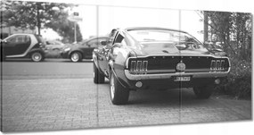 Képek 120x60 Ford Mustang szépia