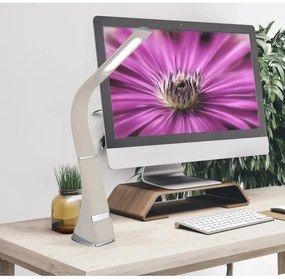 Globo 58337B - SOPHIE asztali LED-lámpa, érintéses fényerőszabályzóval, tölthető, LED/5W/5V, 2200 mAh