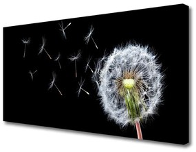 Vászonkép Pitypang Virágok Természet 120x60 cm