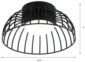 BETSY LED mennyezeti lámpa, 12W/230V, Ø 25 cm, fekete