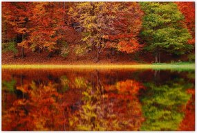 Plakátok 120x80 Őszi táj