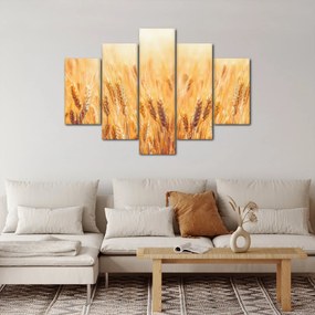Kép - mező gabonával (150x105 cm)