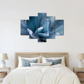Kép - Agave (150x105 cm)