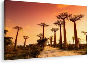 Kép - Naplemente a Baobab Alley-ben (90x60 cm)