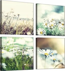 Vászonkép 50x50 Mezei virágok kamilla nyár nap természet frissesség nyugalom
