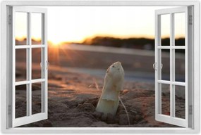 Poszterek 120x80 Spárga növekedés