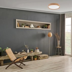 Brilagi - LED dimmelhető mennyezeti lámpa MANAROLA LED/24W/230V tölgy + távirányító