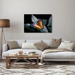 Pillangó képe (90x60 cm)