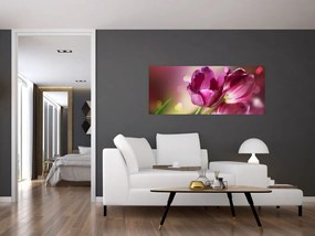 Rózsaszín tulipánok képe (120x50 cm)