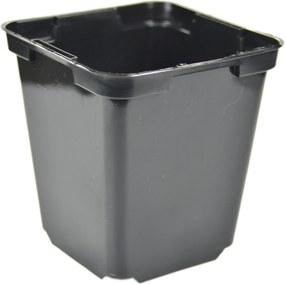 TermelĆ kaspĂł szögletes 9x9/9,5cm