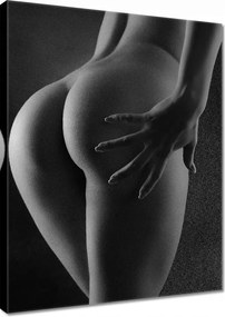 Vászonkép 30x40 Alakú popsi Akt